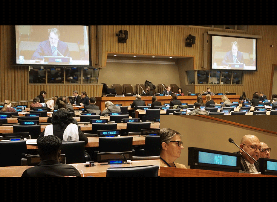 HelpMeSee Statement to United Nations at CSocD55