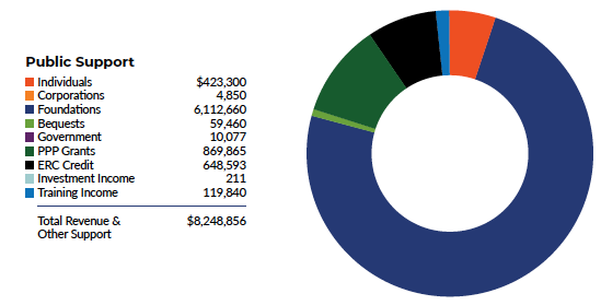 Pie chart of 2021 financials